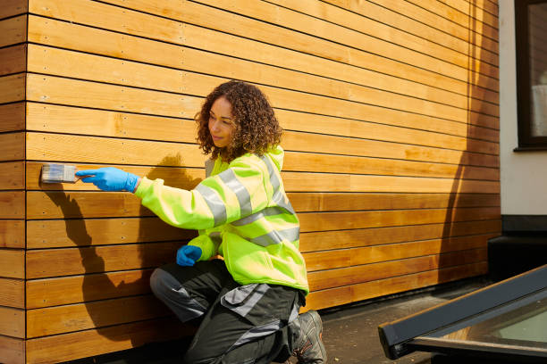 Best Custom Trim and Detailing for Siding  in Jekyll Island, GA